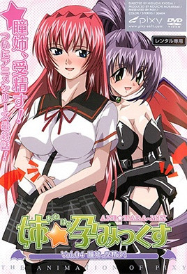 姐姐☆怀孕[姉☆孕みっくす]