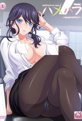 [这已经算骚扰了]ハメハラ ～それセクハラですっ～